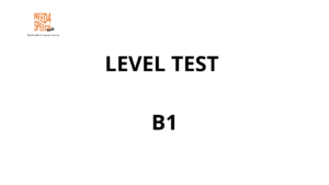 Protegido: Level test B1